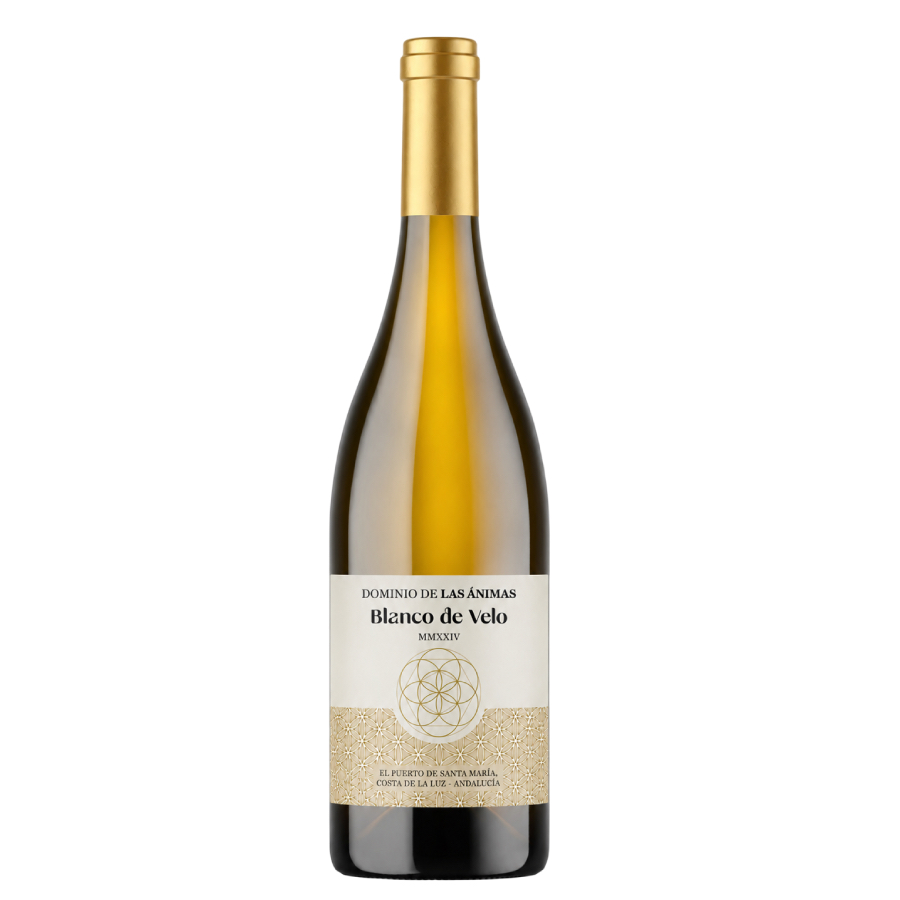 Blanco de Velo 2024